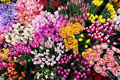 2.5D动作游戏《巴塞罗那旅馆》Steam页面开放