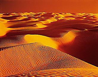 《消逝的光芒2》MC站遭遇意大利玩家差评轰炸 只因没有意大利语配音